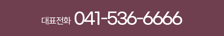 041-536-6666